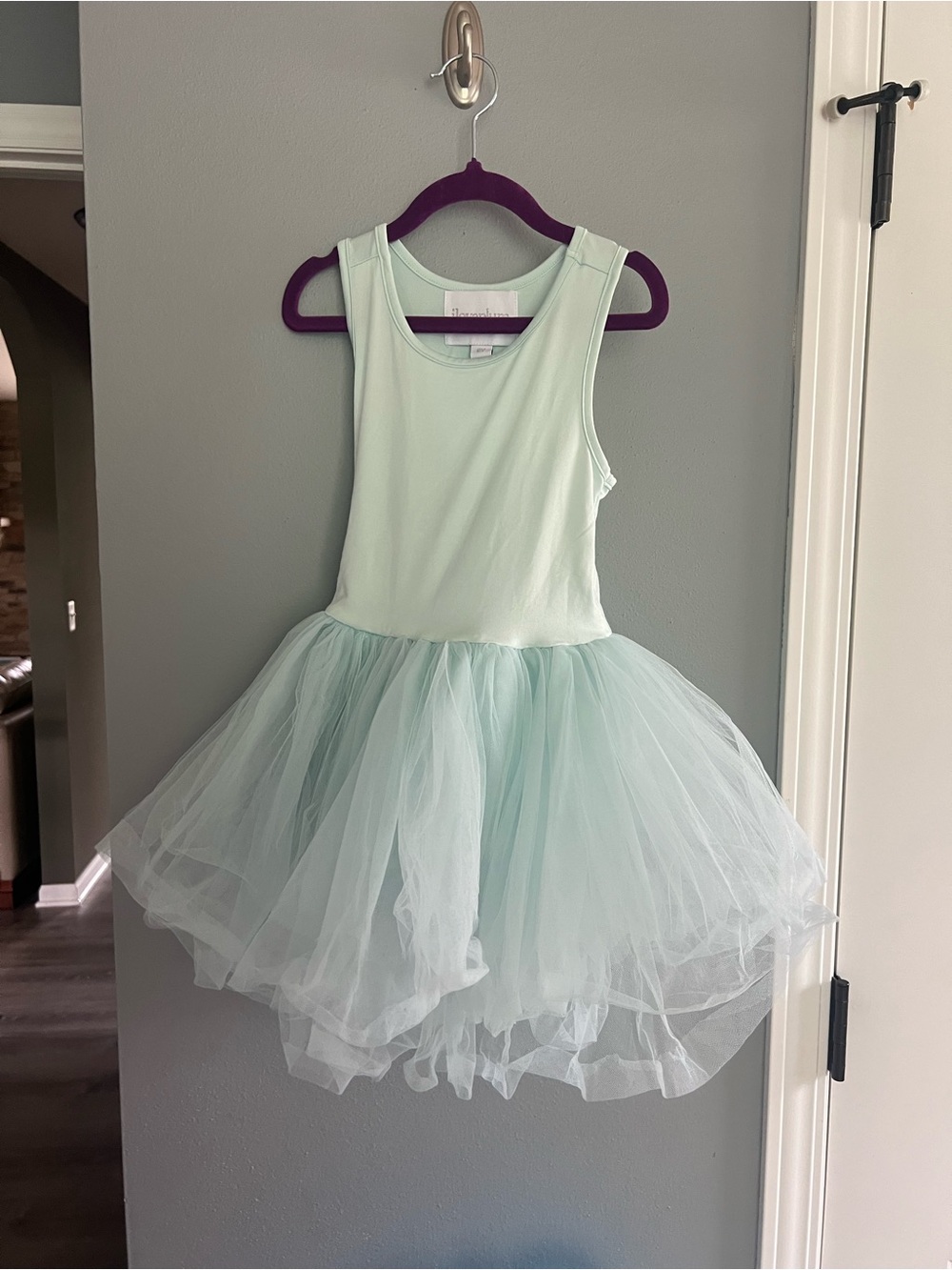 Iloveplum Sleeveless Tulle Tutu Dress - Mint
